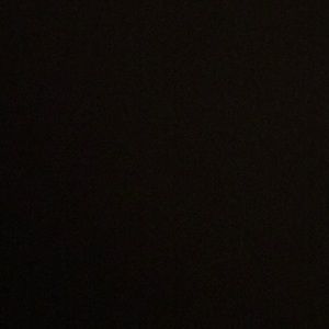 Meet your Posher, Tanya